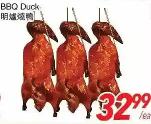 Foody World Bbq duck offer