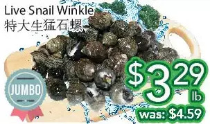 Ample Food Market Live snail winkle offer