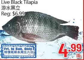 Hong Tai Supermarket Live black tilapia offer