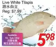 Foody World Live white tilapia offer