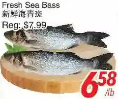 Foody World Fresh sea bass offer