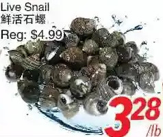 Foody World Live snail offer