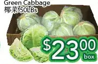 Ample Food Market Green cabbage offer