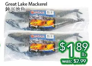 Great lake mackerel