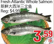 Hong Tai Supermarket Fresh atlantic whole salmon offer