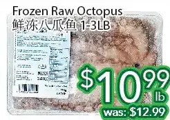 Ample Food Market Frozen raw octopus offer