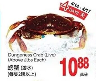 T&T Supermarket Dungeness crab offer