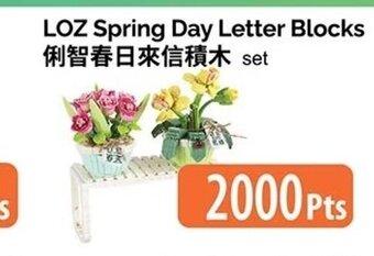 T&T Supermarket LOZ spring day letter blocks set offer