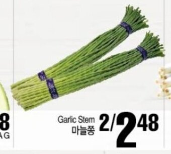 Garlic stem