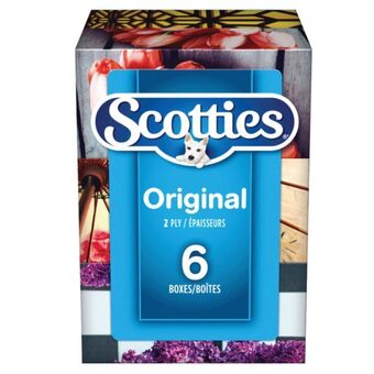 Staples Scotties facial tissue, 6 pack offer