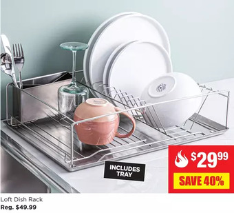 Kitchen Stuff Plus Loft dish rack offer