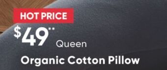 Sleep Country Organic cotton pillow offer