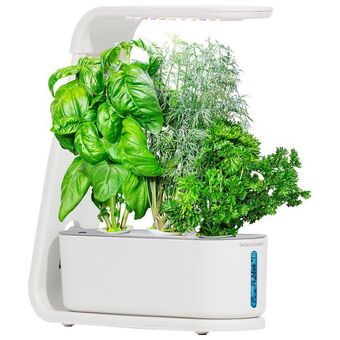 Best Buy Aerogarden sprout hydroponic garden system - white offer