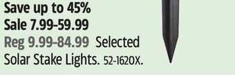 Canadian Tire Selected solar stake lights offer