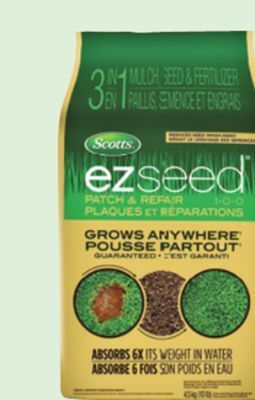 Canadian Tire Scotts turf builder ez seed, 4.5kg bag offer