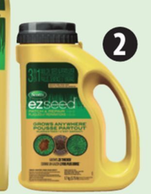 Canadian Tire Scotts turf builder ez seed, 1.7kg offer