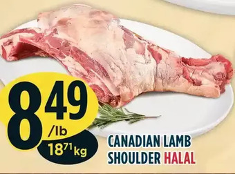 Marché Adonis Canadian lamb shoulder offer