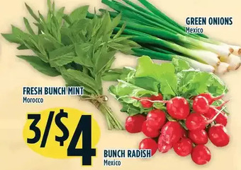 Marché Adonis Fresh bunch mint | bunch radish | green onions offer