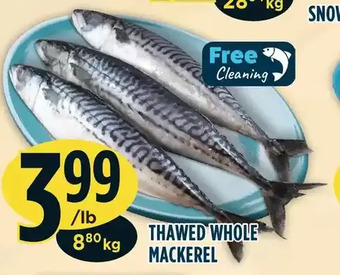 Marché Adonis Thawed whole mackerel offer
