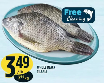 Marché Adonis Whole black tilapia offer