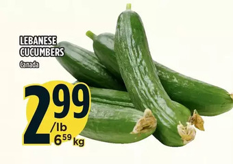 Marché Adonis Lebanese cucumbers offer