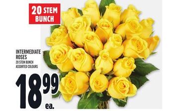 Metro Intermediate roses offer