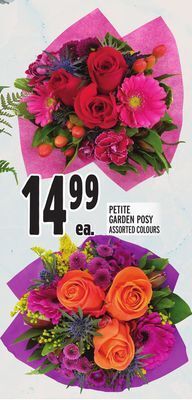 Metro Petite garden posy offer