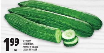 Metro Seedless cucumbers offer