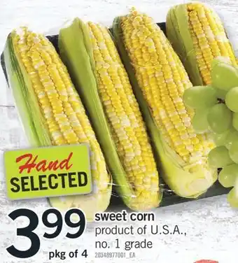 Fortinos Sweet corn, pkg of 4 offer