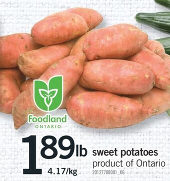 Fortinos Sweet potatoes offer