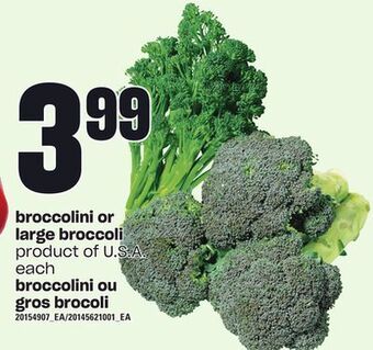 Independent Grocer Broccolini or large broccoli offer