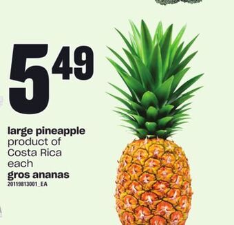 Independent Grocer Large pineapple offer