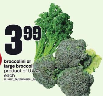 Loblaws Broccolini or large broccoli offer