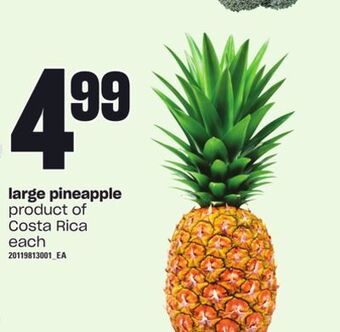 Loblaws Large pineapple offer