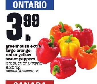 Loblaws Greenhouse extra large orange, red or yellow sweet peppers offer