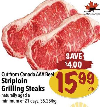 Farm Boy Striploin grilling steaks offer