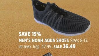 Canadian Tire Men's noah aqua shoes offer