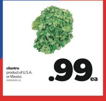 Real Canadian Superstore Cilantro offer