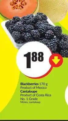 Chalo FreshCo Blackberries 170 g product of mexico cantaloupe product of costa rica no. 1 grade offer