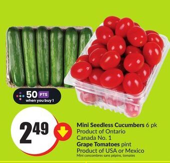 Chalo FreshCo Mini seedless cucumbers 6 pk product of ontario canada no. 1 grape tomatoes pint product of usa or mexico offer