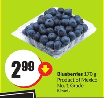 Chalo FreshCo Blueberries 170 g product of mexico no. 1 grade offer