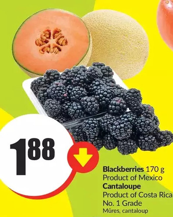 FreshCo Blackberries | cantaloupe offer