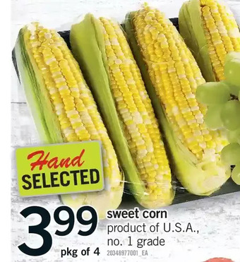 Fortinos Sweet corn offer