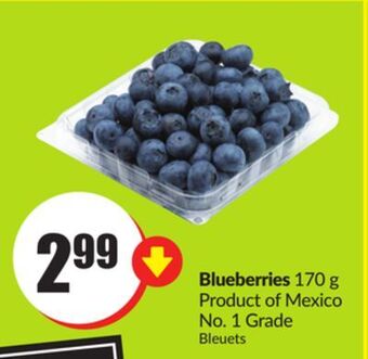 FreshCo Blueberries 170 g product of mexico no. 1 grade offer