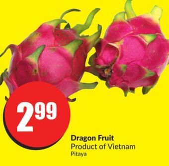 FreshCo Dragon fruit product of vietnam offer