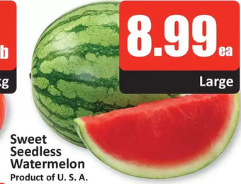 Starsky Sweet seedless watermelon offer