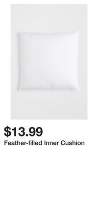 H&M Feather-filled inner cushion offer