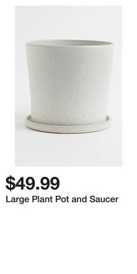H&M Large plant pot and saucer offer