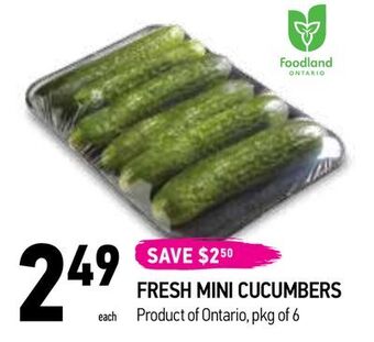 Coppa's Fresh Market Fresh mini cucumbers offer