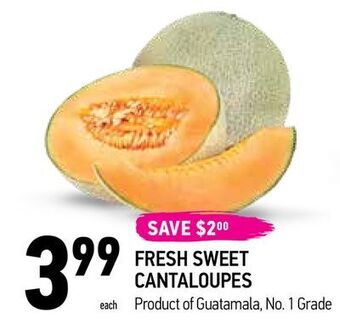 Coppa's Fresh Market Fresh sweet cantaloupes offer